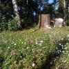 img_20140916_121039